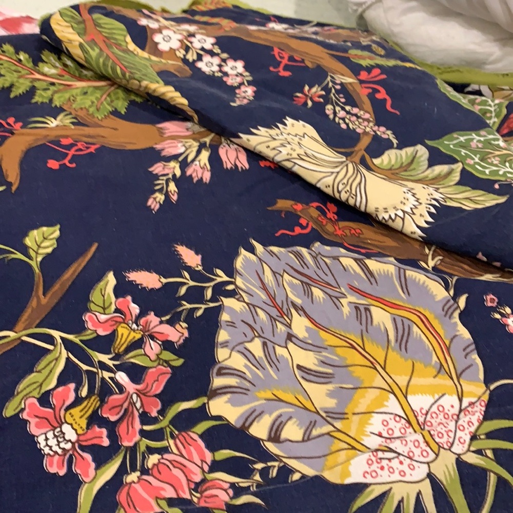 Pottery Barn queen duvet and two standard shams